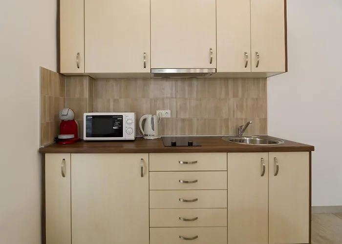 Felix Apartman Promajna